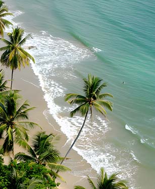 Explore the Indian Paradise – Goa Beaches, Nightlife, and Holiday Packages with NTF Travel